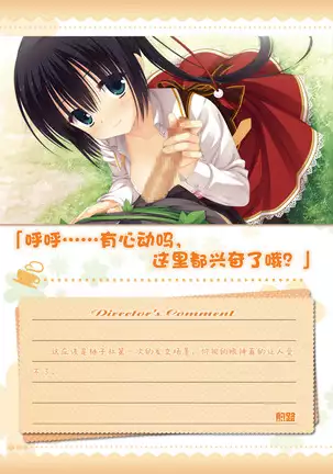 AMAIRO ISLENAUTS OFFICIAL VISUAL FAN BOOK