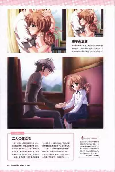 Tasogare no Sinsemilla Official Visual Fan book