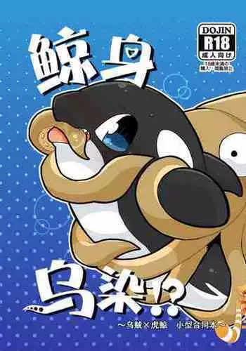 Shachi Ero wa Ikaga!? | 鲸身乌染！？