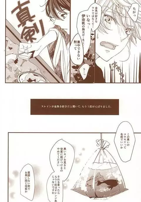 お祭り金魚と夏花火