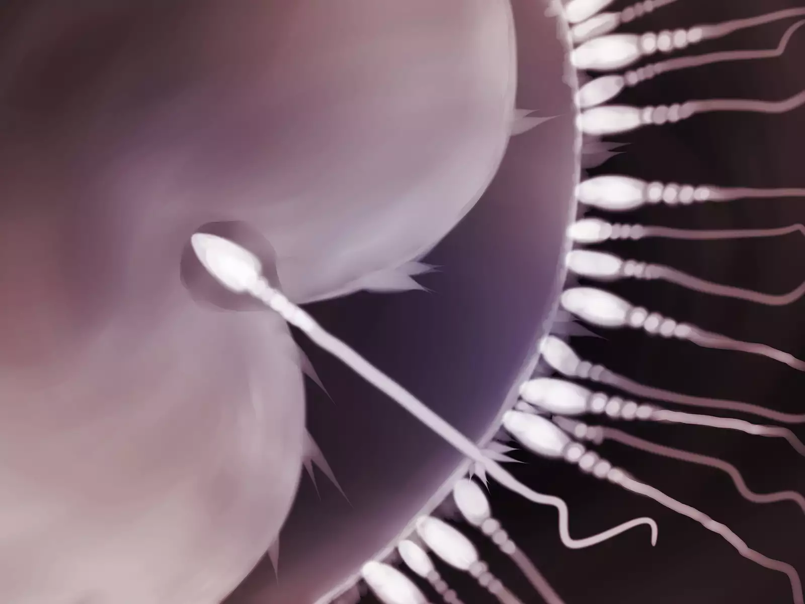 JK o Van de Rachitte Haramase Shuudan Rape