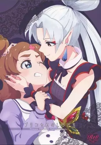 Princess no Shitsukekata