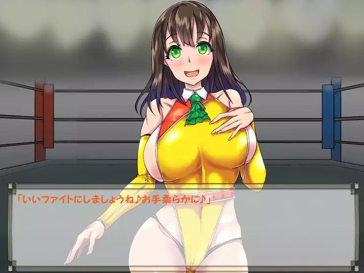 ドMプロレス2 画像集